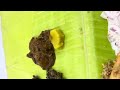 keda vettu sunday mini blog mutton biriyani non veg