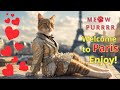 Chill with Cats in Paris: Enjoy Cat Purrs and Fascinating Music. Escape from the Ordinary.