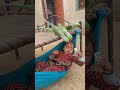 parrot snatched lollipop from cute girl eliza