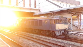 【年始の貨物列車再開に向けて】EF64-1043[愛]　岡山機関区から伯耆大山駅への送り込み単機回送　倉敷駅4番のりば通過