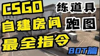 【CSGO】新手必看的自建房bot指令！全网最全！