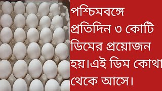 পশ্চিমবঙ্গে প্রতিদিন ৩ কোটি ডিমমের প্রয়োজন হয়। এই ডিম কোথা থেকে আসে।#tnmedia