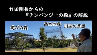 竹田園長による宮崎市フェニックス自然動物園「チンパンジーの森」の解説