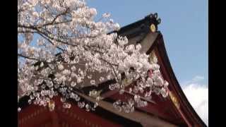 The Fujinomiya city tour guide 7 Fujinomiya City - English