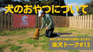 【犬のおやつについて】柴犬トーク#13【柴犬ブリーダー・柴犬の実家芝田荘】