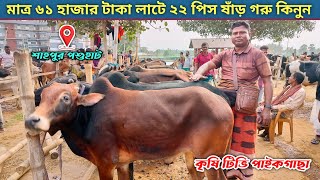 ২৮/১১/২৪🔰ধামাকা অফার মাত্র ৬১ হাজার টাকা লাটে খামার উপযোগী ২২ পিস ষাঁড় গরু কিনুন ✅