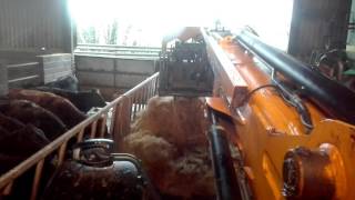 Feeding silage with JCB 310s and tanco bale shear