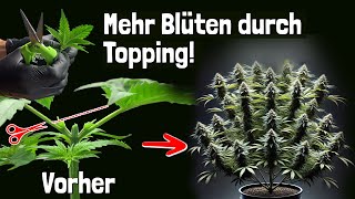 Topping done right: How to maximize your yields!