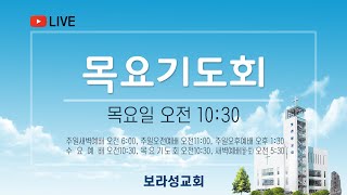 보라성교회 실시간  목요예배 - 2023.08.10