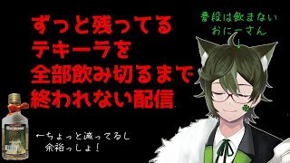 【飲酒雑談】あまりお酒を嗜まないおにーさんがテキーラを飲むよ【Vtuber】