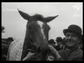 upset win by red freeman at 1938 gatwick grand national trial steeplechase 1938