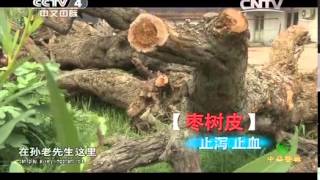 20141119 中华医药 健康故事：老中医的小菜园