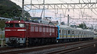 EF81 134+E131系   国府津発車