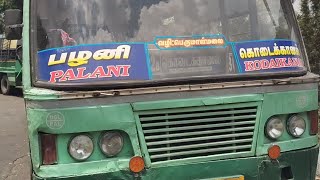 Palani to Kodaikanal TN Bus Travelling | Kodaikanal Tourist Places | Palani Bus Stand