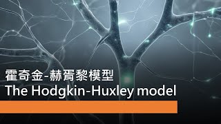 腦與計算 -- L3-3-3 The Hodgkin-Huxley model (霍奇金-赫胥黎模型)