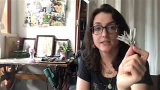 How to Cleanse your Crystals with Sage