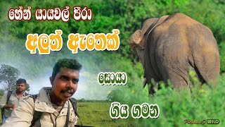 හේන් යායවල් පීරා අලුත් ඇතෙක් සොයා ගිය ගමන | PathumS WILD