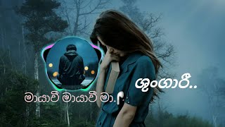 shungari.. best sinhala song |ශුංගාරි..| sachee beat Yt song 🎧🎧