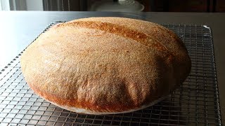 Sourdough Bread - Part 1: The Starter