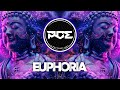 PSYTRANCE ● Polar Energy - Euphoria (Vandeta & Ayawaska Remix)