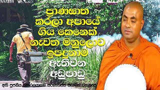 බෙහෙත් නැති ලෙඩ රෝග ඇතිවීම සහ ලෙඩ රෝග නැති කිරීමට සතුන් මැරීම | Koralayagama Saranathissa Thero