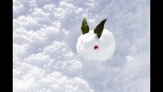 雪兎のライブストリーム　ドラゴンクエストⅩ