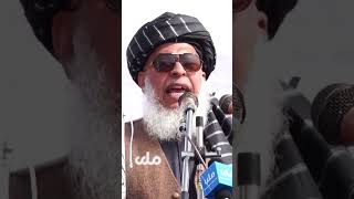 Stanikzai: No divisions in the Islamic Emirate | ستانکزی: سرکشی و مخالفت در امارت اسلامی وجود ندارد