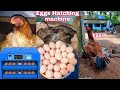 Egg Hatching Machine In Low Price 💥 Offer 💥 My Hobby  Extra