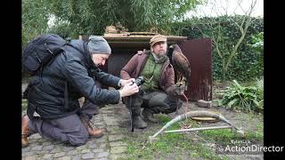 Unterwegs mit Falkner Martin Hagemann, Uwe Beguihn und Uwe Hennig