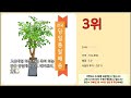 개업화분 추천 구매 전 꼭 확인해 보세요 가격 리뷰 판매량 top 10 상품