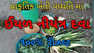 ગાય આધારિત પ્રાકૃતિક ખેતીમાં ઇયળ નિયંત્રણ માટેની દવા કઈ રીતે બનાવવી તેના વિશે ની સંપૂર્ણ માહિતી