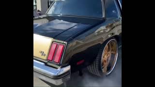 1979 Oldsmobile Cutless on RUCCI FORGED Wheels