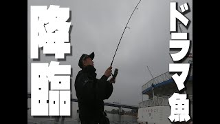 メタルバイブでドラマ魚【琵琶湖】