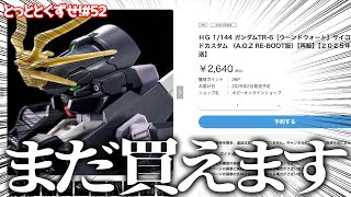 【とっととくずせ！#52 】まだ買える！ガチ恋勢が語るHG ガンダムTR-6[ウーンドウォート]サイコブレードカスタムの評価点