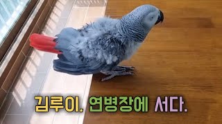 입으로 하는 유격훈련 🪖(영상제공-김루이아버님)