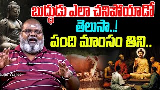 బుద్ధుడు ఎలా చనిపోయాడో తెలుసా..! || Hamara Prasad SHOCKING Facts About Buddha || Telugu Wallet