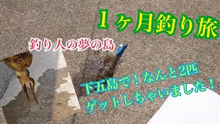 １ヶ月釣り旅！五島列島！2日目！2日目にして早速イカちゃんの影が！！！