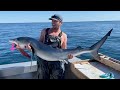 Blue Shark Bites while Halibut fishing in Seward Alaska Small Craft Adventures!