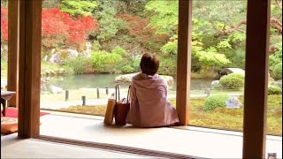 Japan - Kyoto's Temple Shisendo 詩仙堂 Il Comico in Giappone HD Viaggio in Giappone