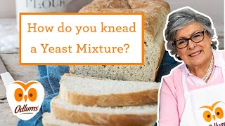 Baking Tips - How to Knead a Yeast Mixture | Odlums