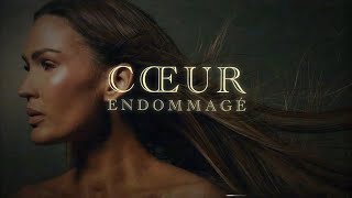 VITAA - Coeur endommagé (Lyrics Video)