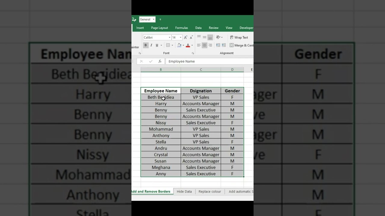 Add and remove the border lines In MS Excel Telugu MS Excel in Telugu