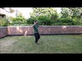 taijiquan die bewegungen 15 27 der langform nach yang chen fu.