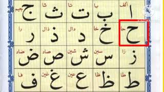 Quran | Alif Baa Taa | Arabic Alphabets | Noorani Qaida Lesson 1 | Learn Epi 314  Arabic Beginner |