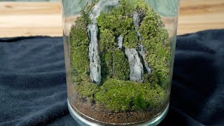 Miniscape - Cliff ( How to make mini bonsai )