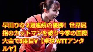 早田ひな 2週連続の優勝！世界屈指のカットマンを破り今季の国際大会で3度目V【卓球 WTTアンタルヤ】