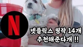 만렙 집순이의 넷플릭스 이건 꼭봐 !! 띵작 추천! |  사랑스런 격리생활 - 자가격리 때 볼 만한 넷플릭스