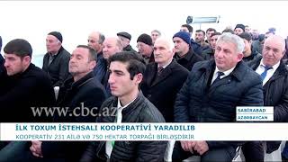 SABİRABADDA İLK TOXUM İSTEHSAL KOOPERATİVİ YARADILIB