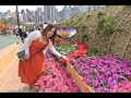 hongkong flower show 2023🌷⚘️🌻🌺 ofw filipino smallyoutuber nature