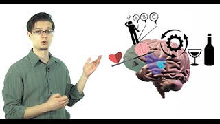 The Addicted Brain | Science of Addiction | Detox to Rehab